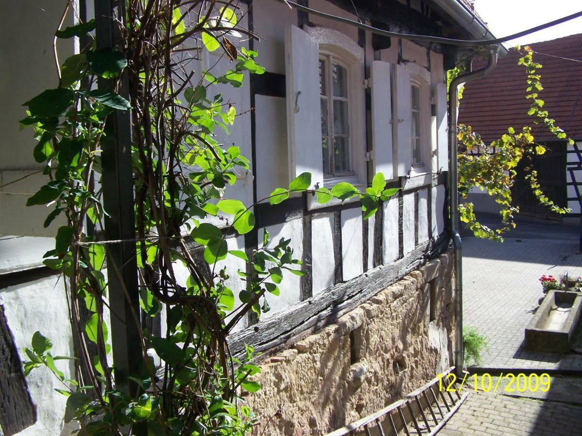 Hunspach Chambres D'Hotes Sabine Billmann المظهر الخارجي الصورة